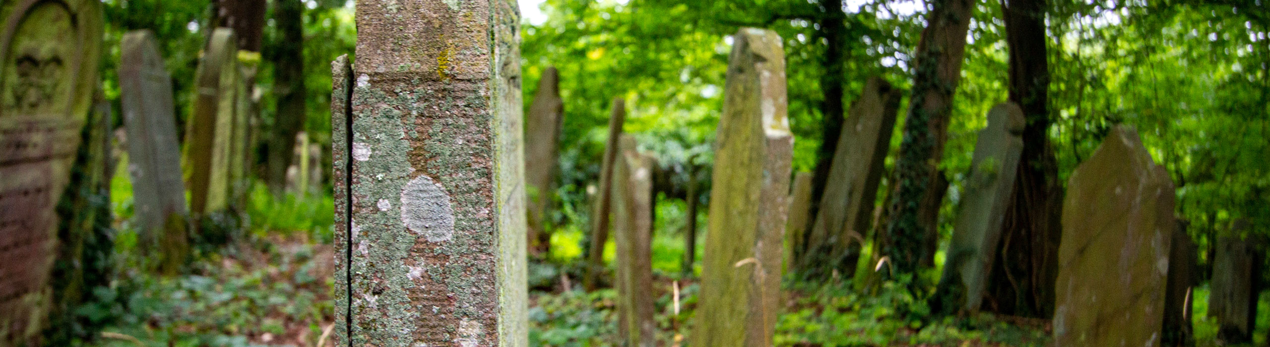 Jakob Mayer - Jüdischer Friedhof Bödigheim