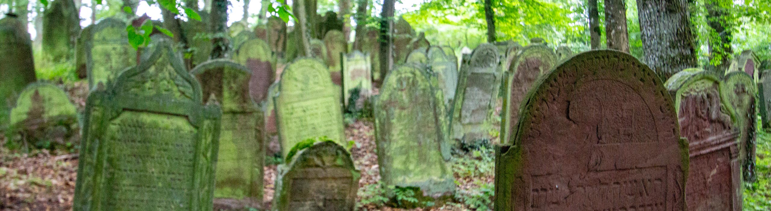 Die Geschichte des Friedhofs - Jüdischer Friedhof Bödigheim