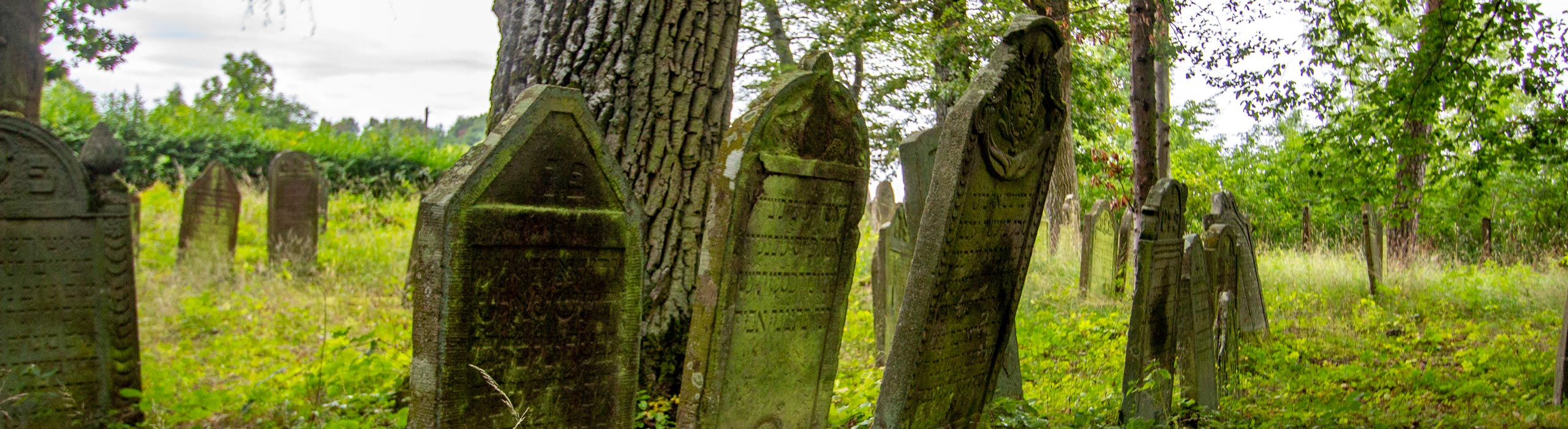 Der israelitische Begräbnisverein Bödigheim - Jüdischer Friedhof Bödigheim