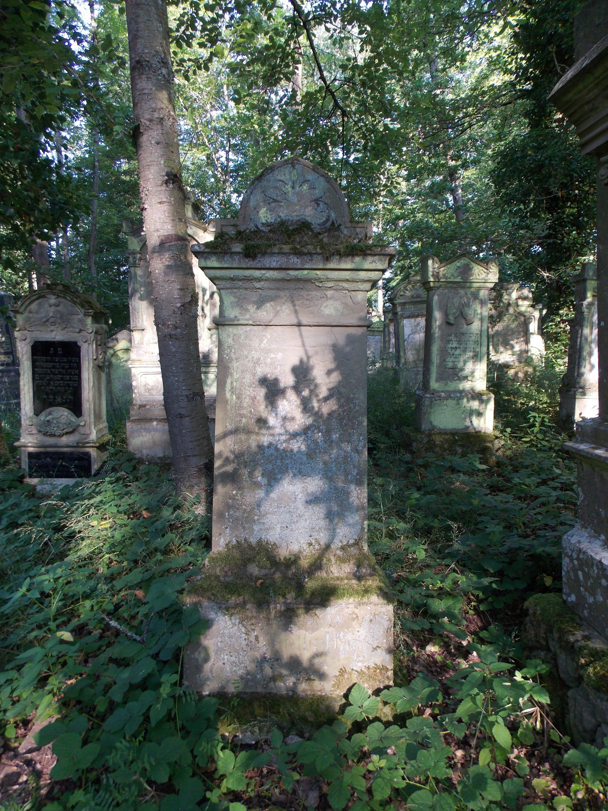 Grabstein von Lisette Haas; Quelle Stadtarchiv Buchen Grabstein von Lisette Haas; Quelle Stadtarchiv Buchen