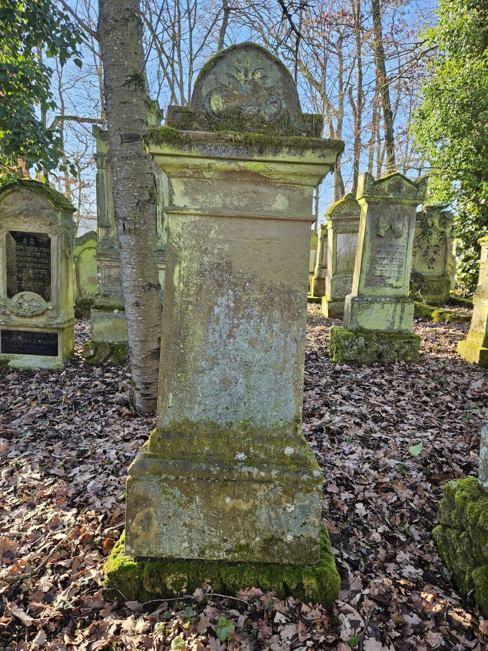 Grabstein von Lisette Haas, Grab-Nr. 684, Quelle: Stadtarchiv Buchen