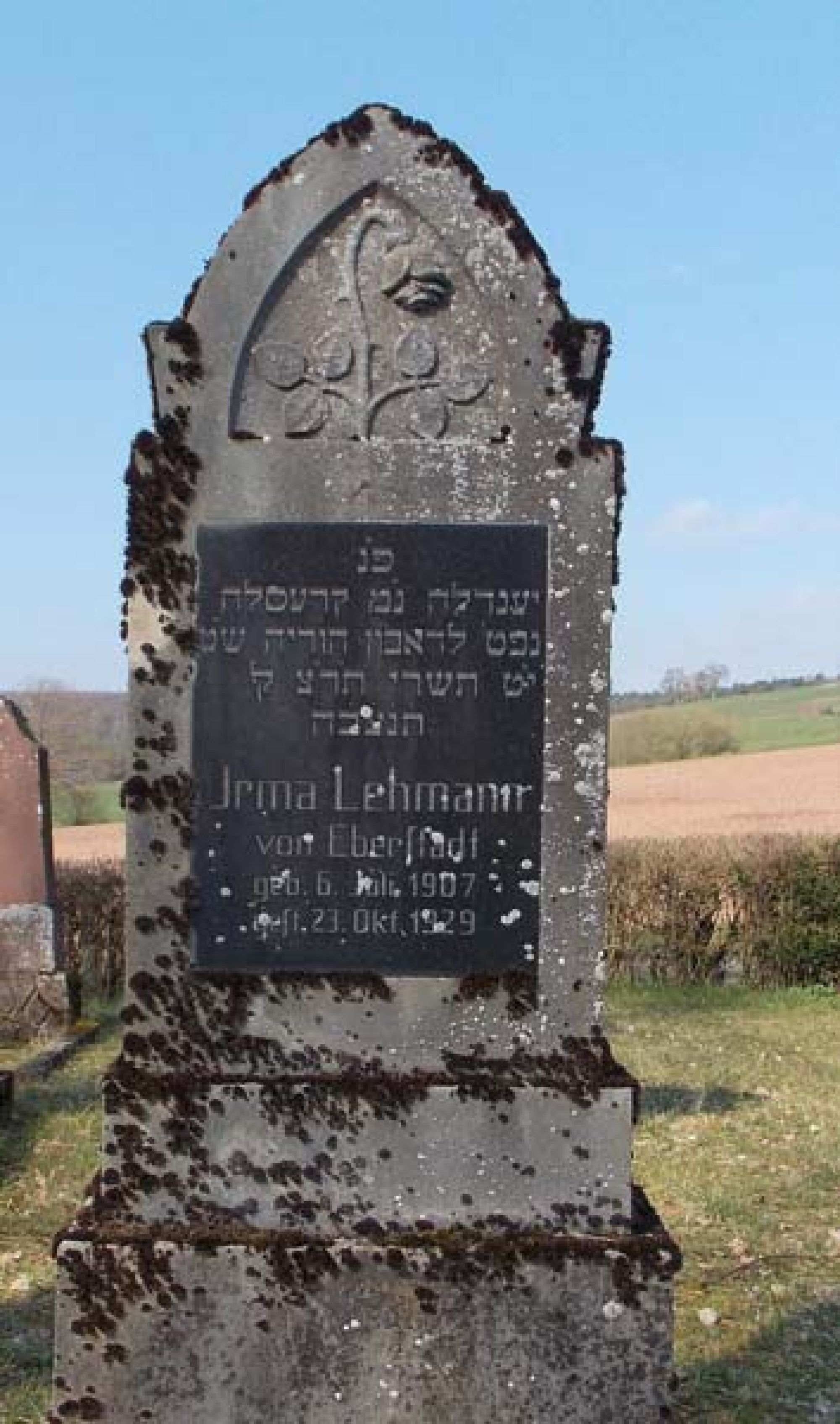 Grab von Irma Lehmann