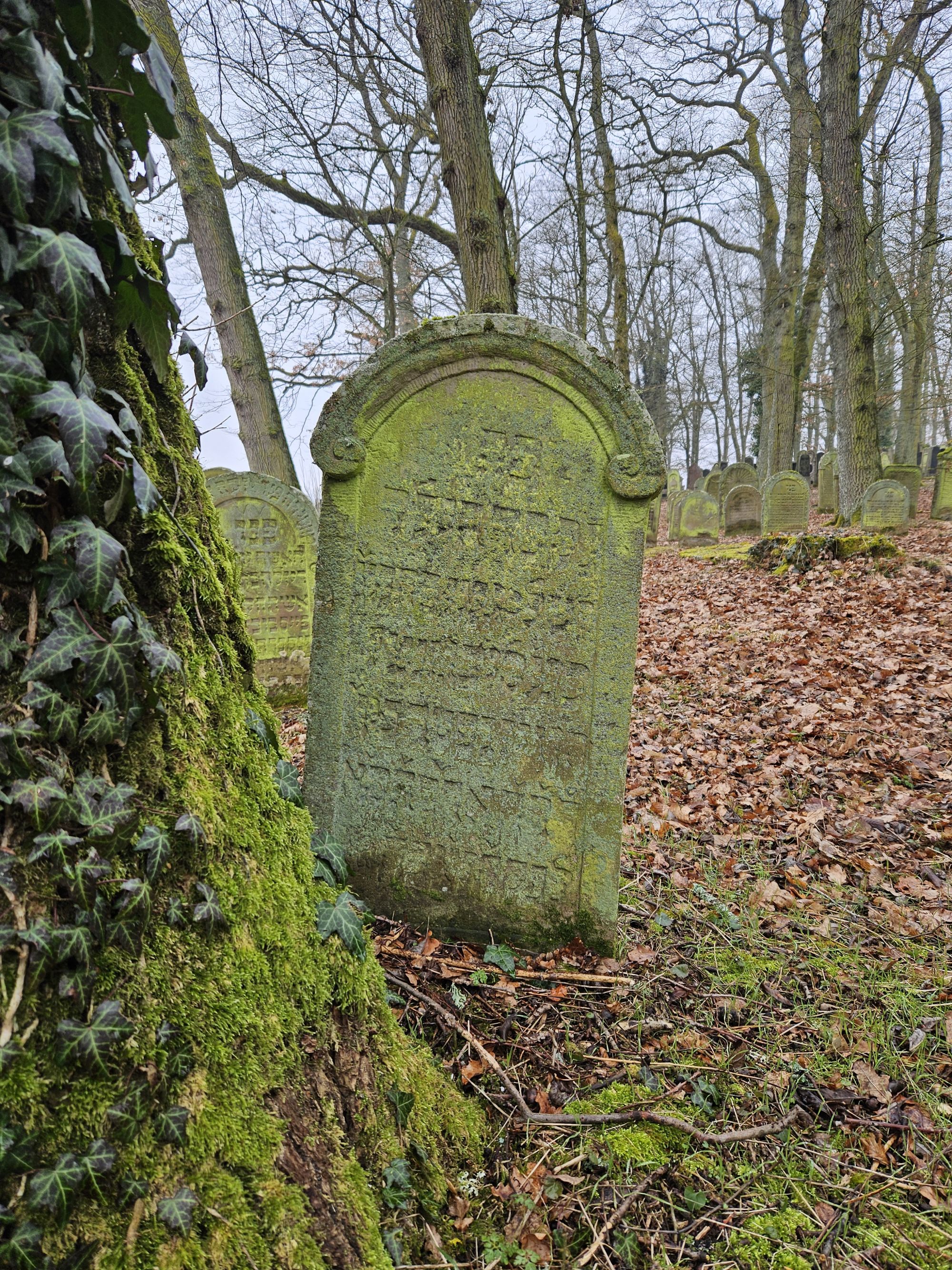 Grab von Seligmann Gunzenhausen (Foto: Stadtarchiv Buchen)
