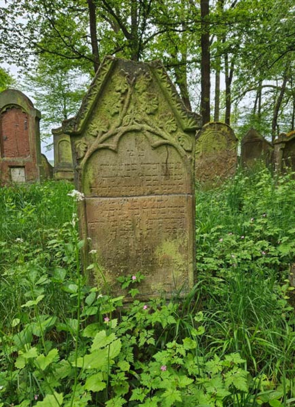 Das Grab von Jette Heidelberger. (Foto: Stadtarchiv Buchen)