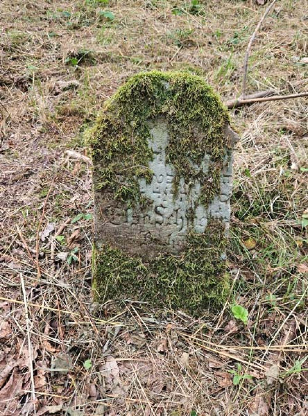 Grab von Elsa Schwerin. (Foto: Stadtarchiv Buchen)