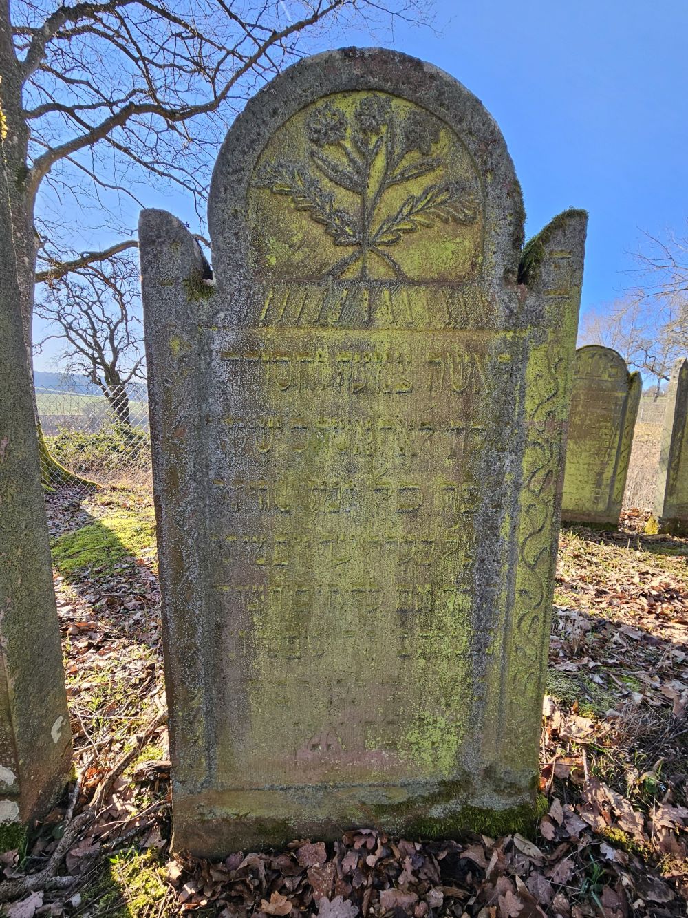 Grab von Lea Bär (Foto: Stadtarchiv Buchen)