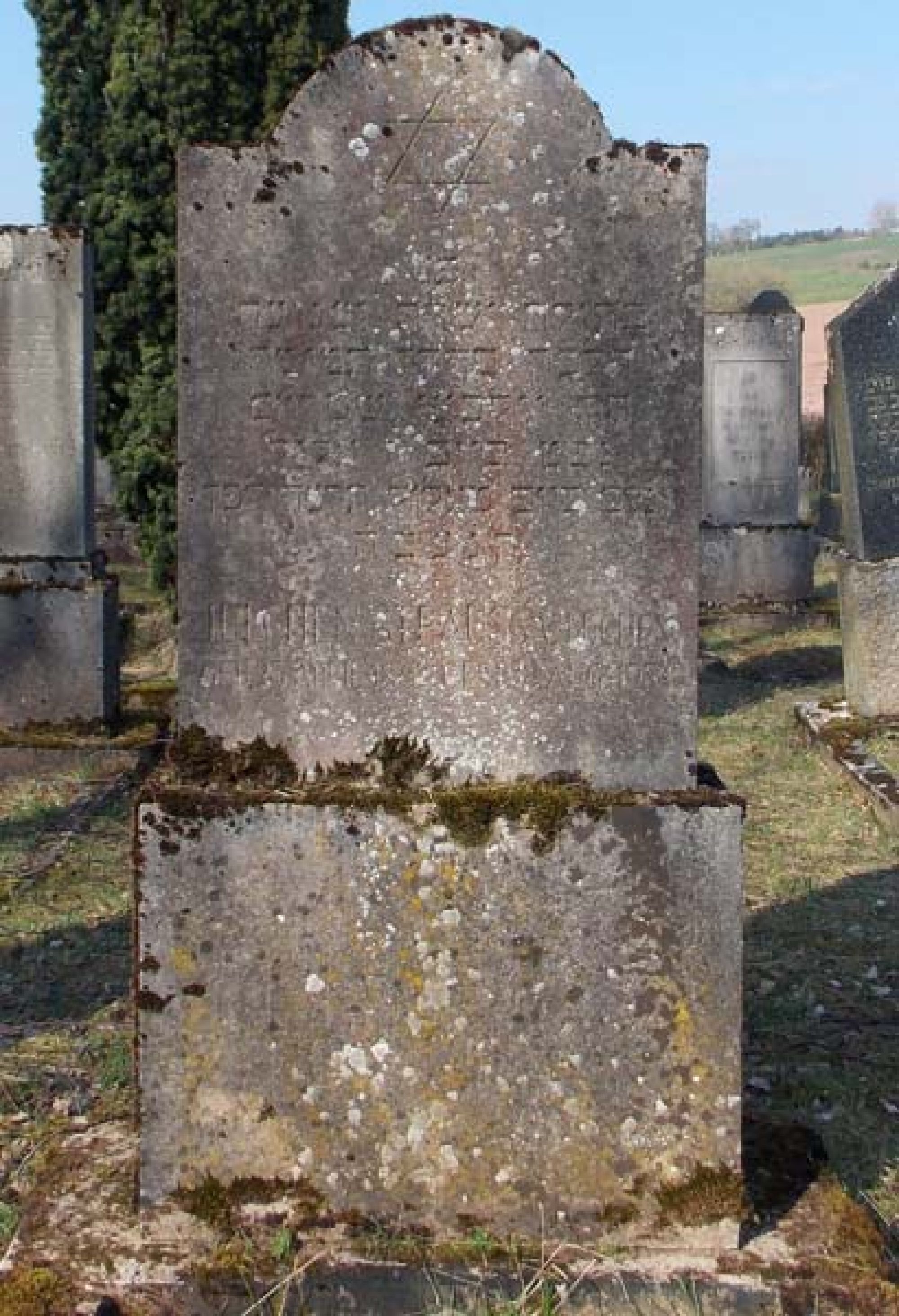 Grab von Julchen Strauss