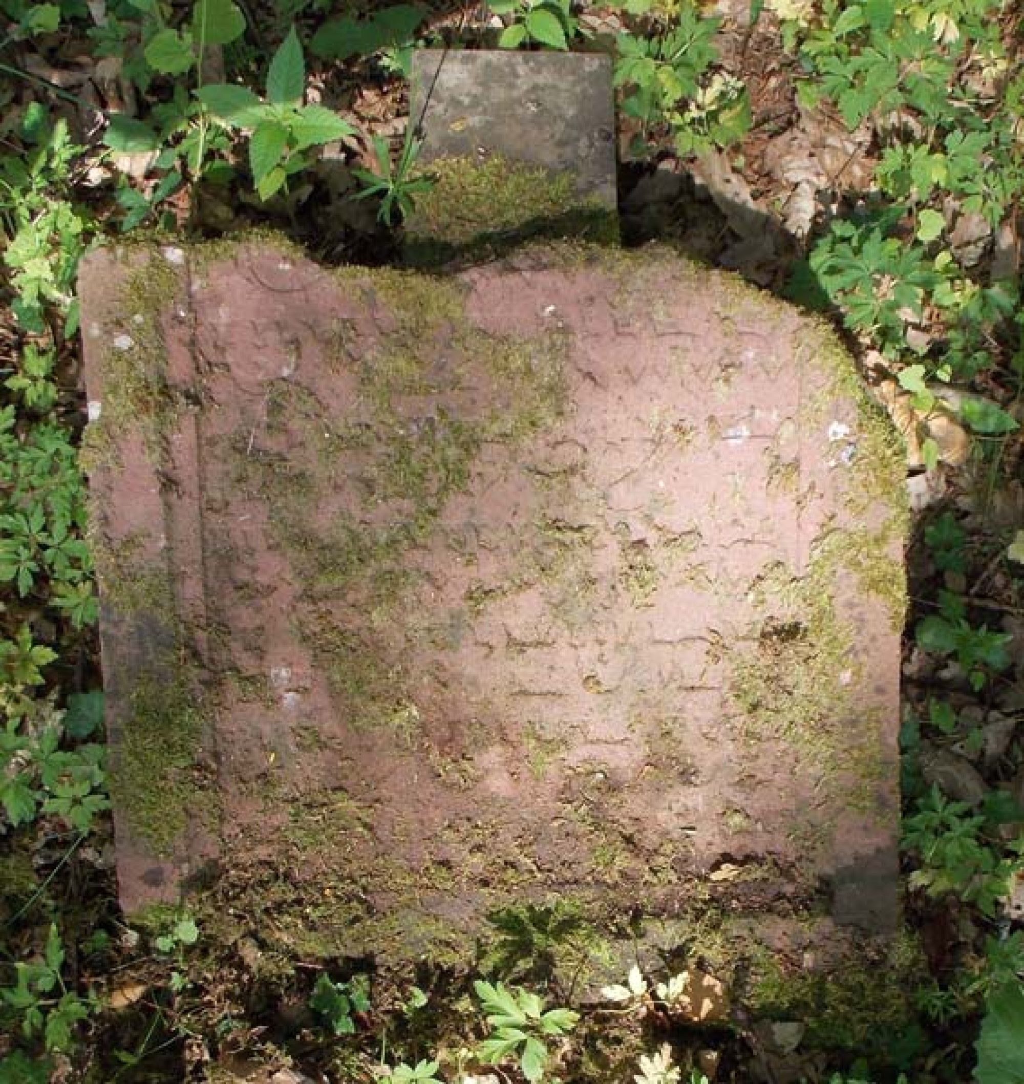 Der älteste datierbare Grabstein auf dem Bödigheimer Friedhof. (Foto: Stadtarchiv Buchen)