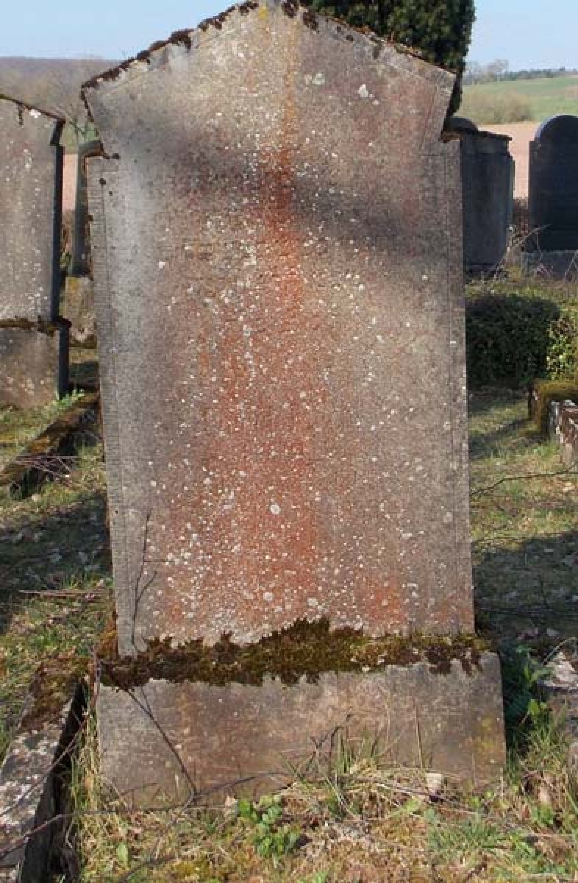 Grabstein von David Hecht