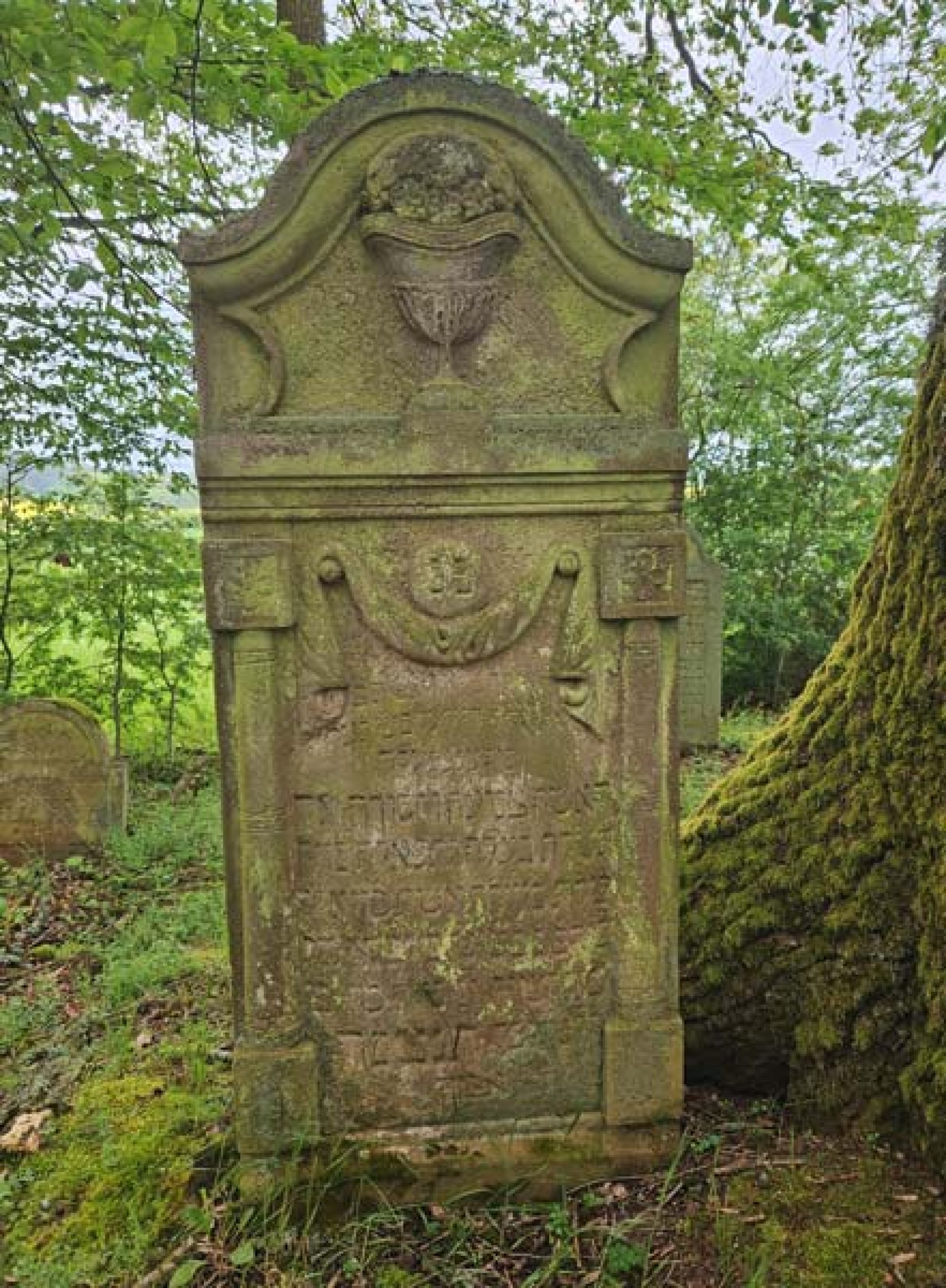 Das Grab von Meile Heidelberger. (Foto: Stadtarchiv Buchen)