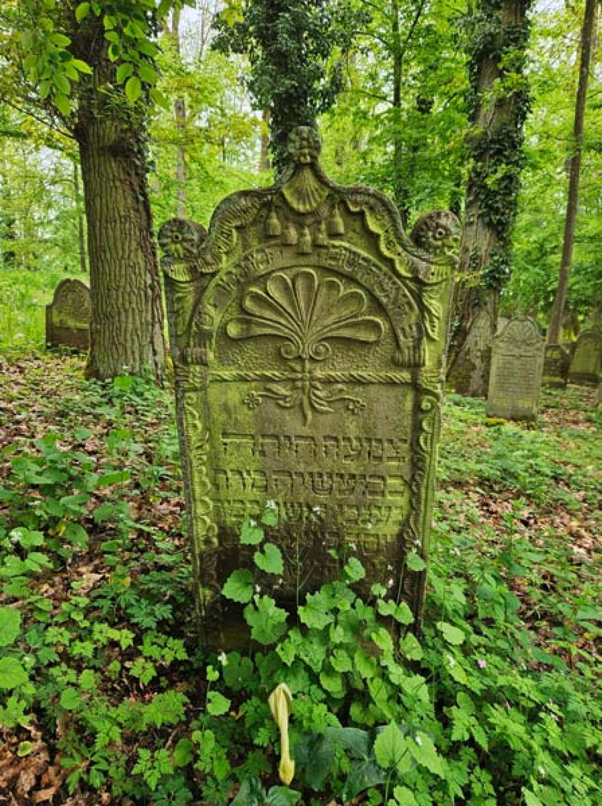 Das Grab von Nänchen Heidelberger. (Foto: Stadtarchiv Buchen)