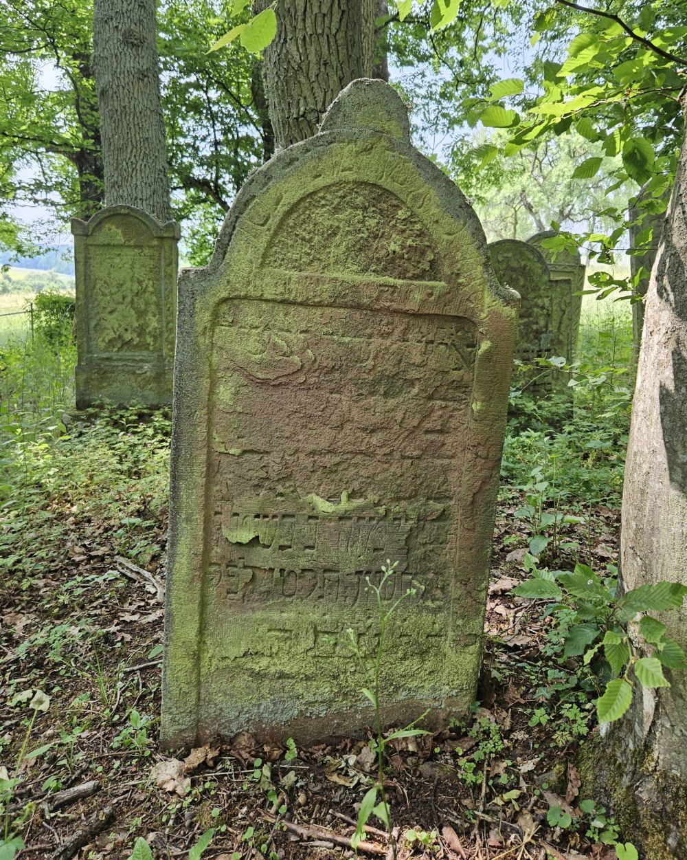 Grab des Salman, Sohn des Samuel (Foto: Stadtarchiv Buchen)