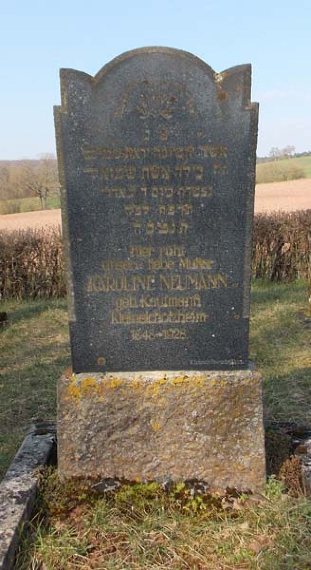 Grab von Karoline Neumann