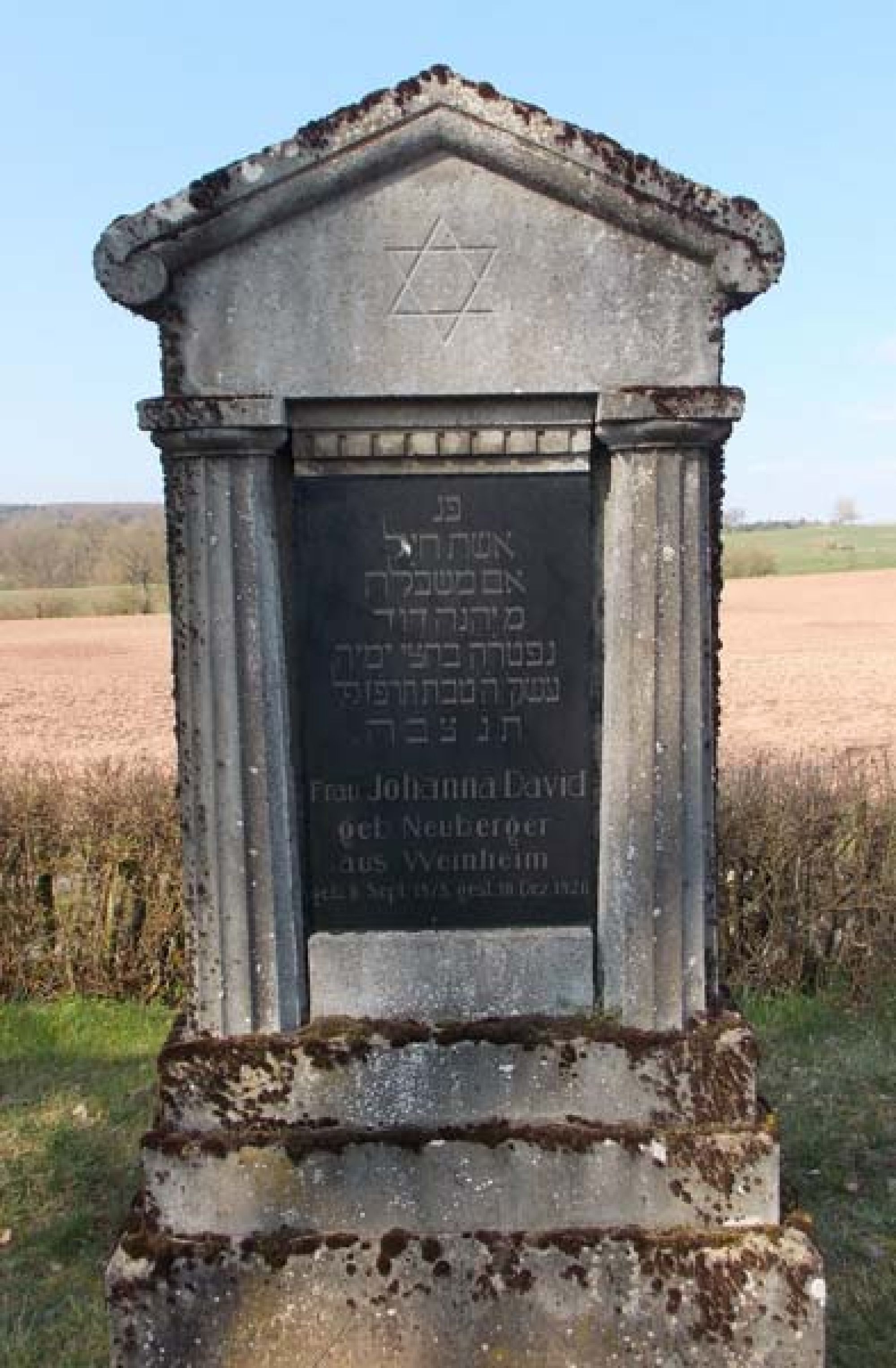 Grabstein von Johanna David