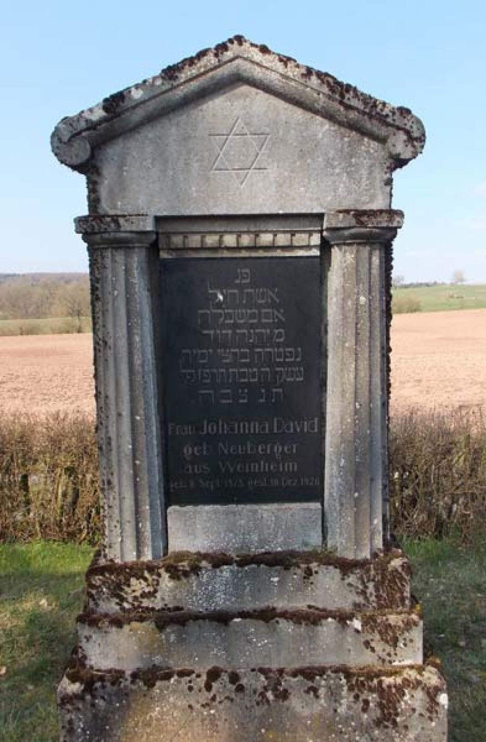 Grabstein von Johanna David