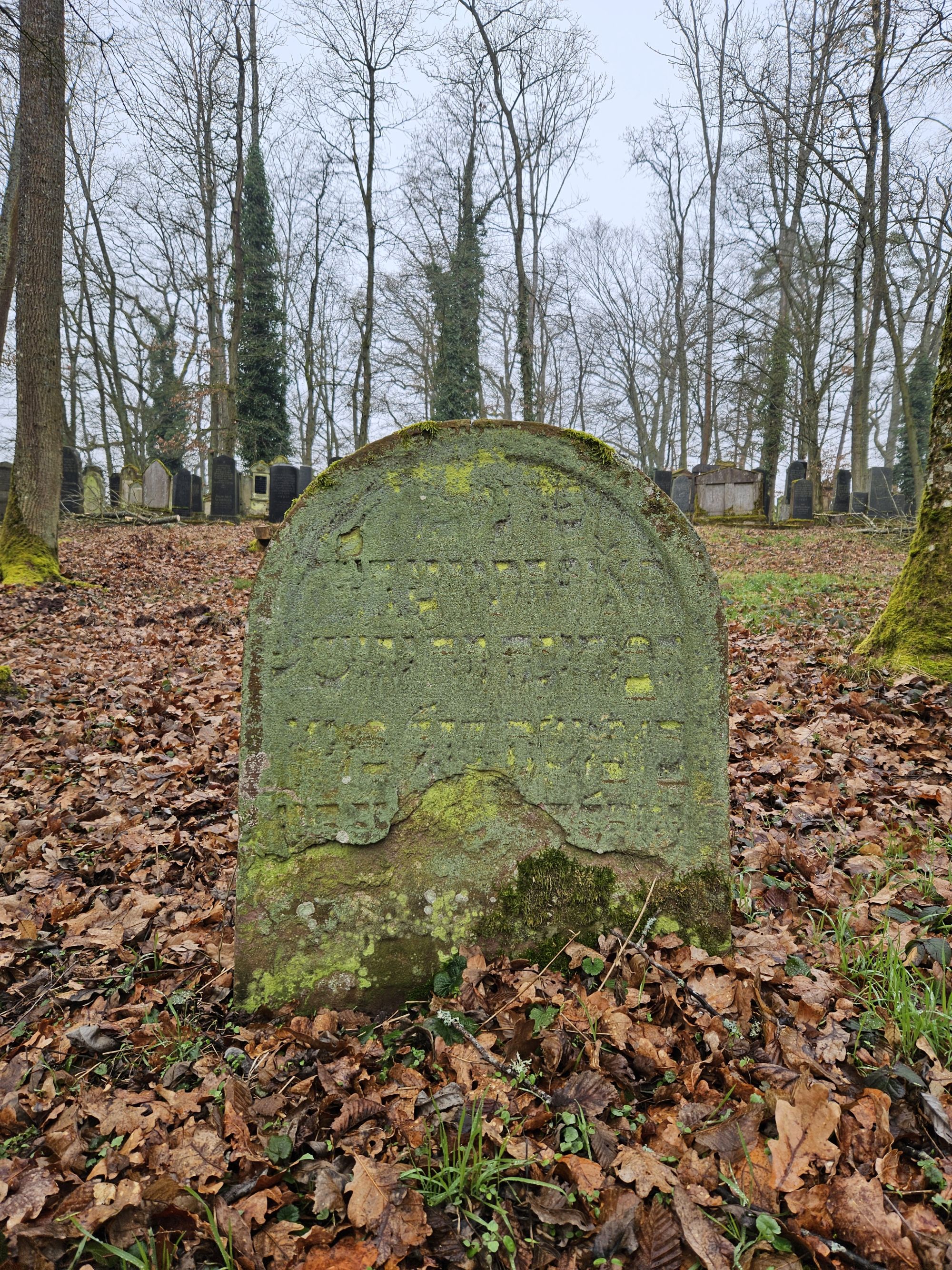 Jehoschua, Sohn des Moses Segal (Foto: Stadtarchiv Buchen)