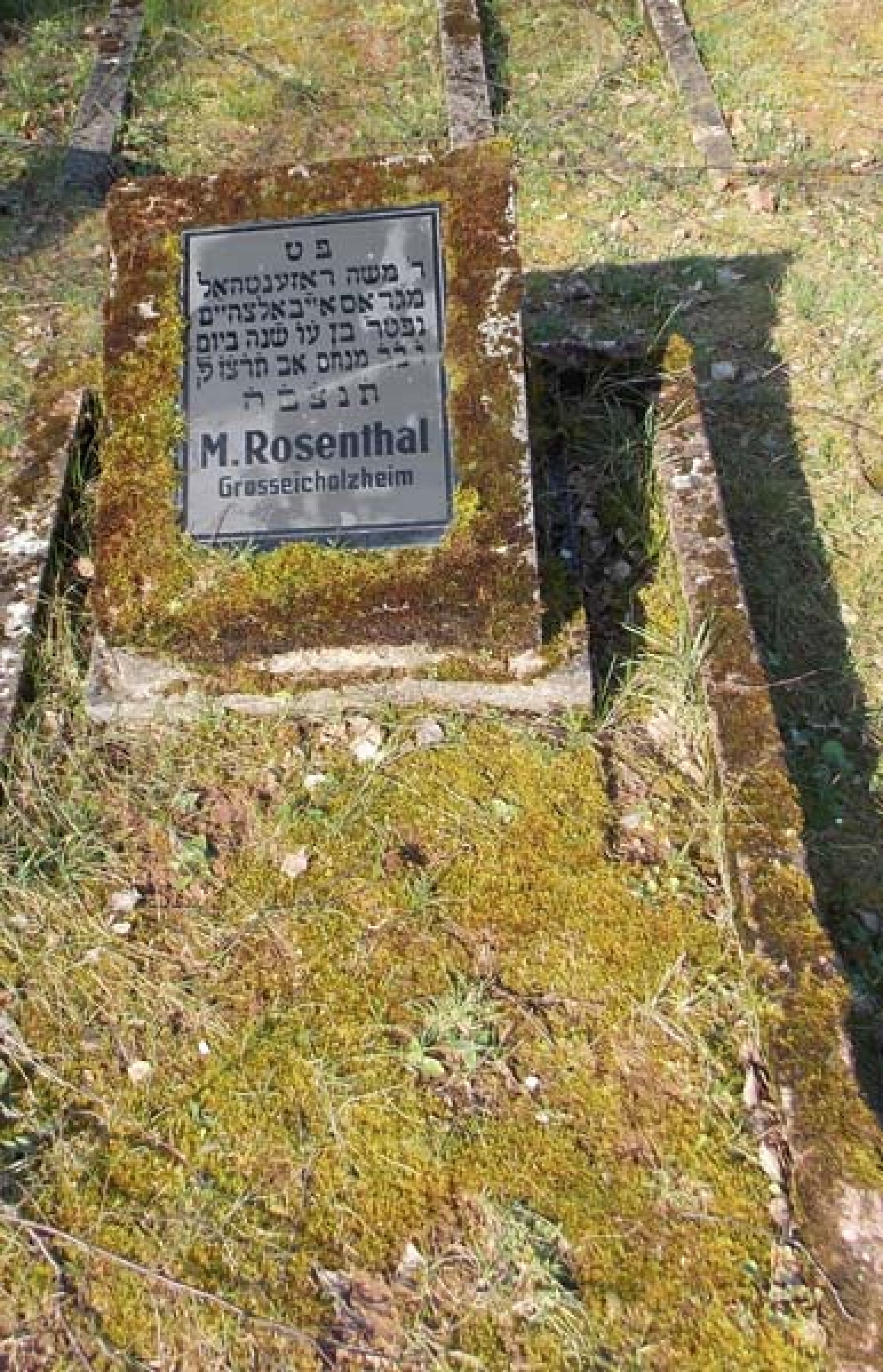 Moritz Rosenthal