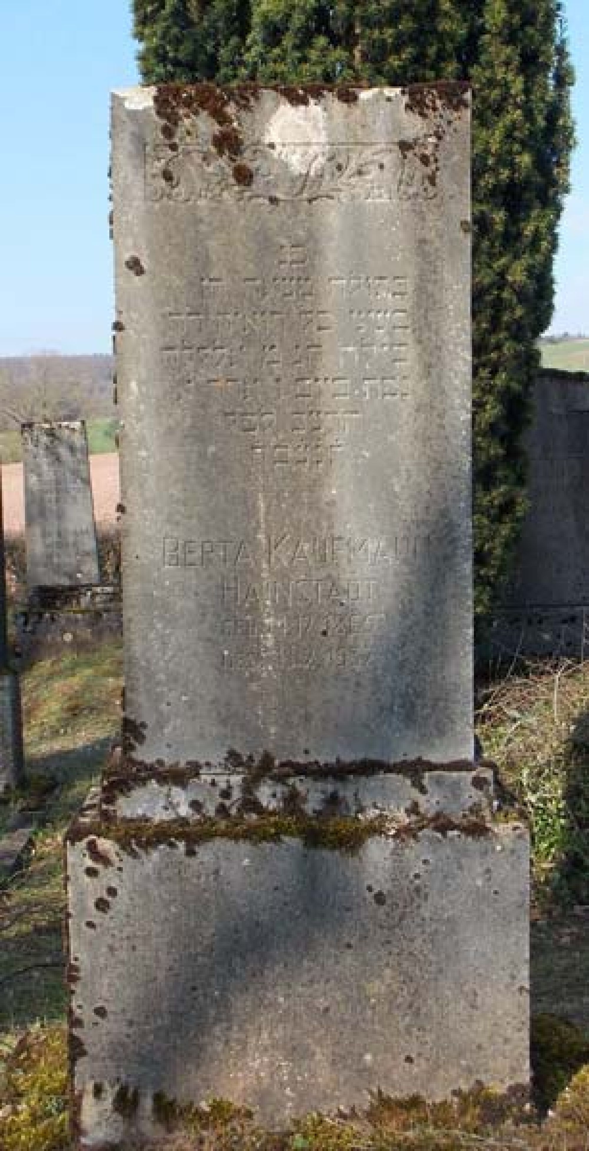 Grab von Berta Kaufmann