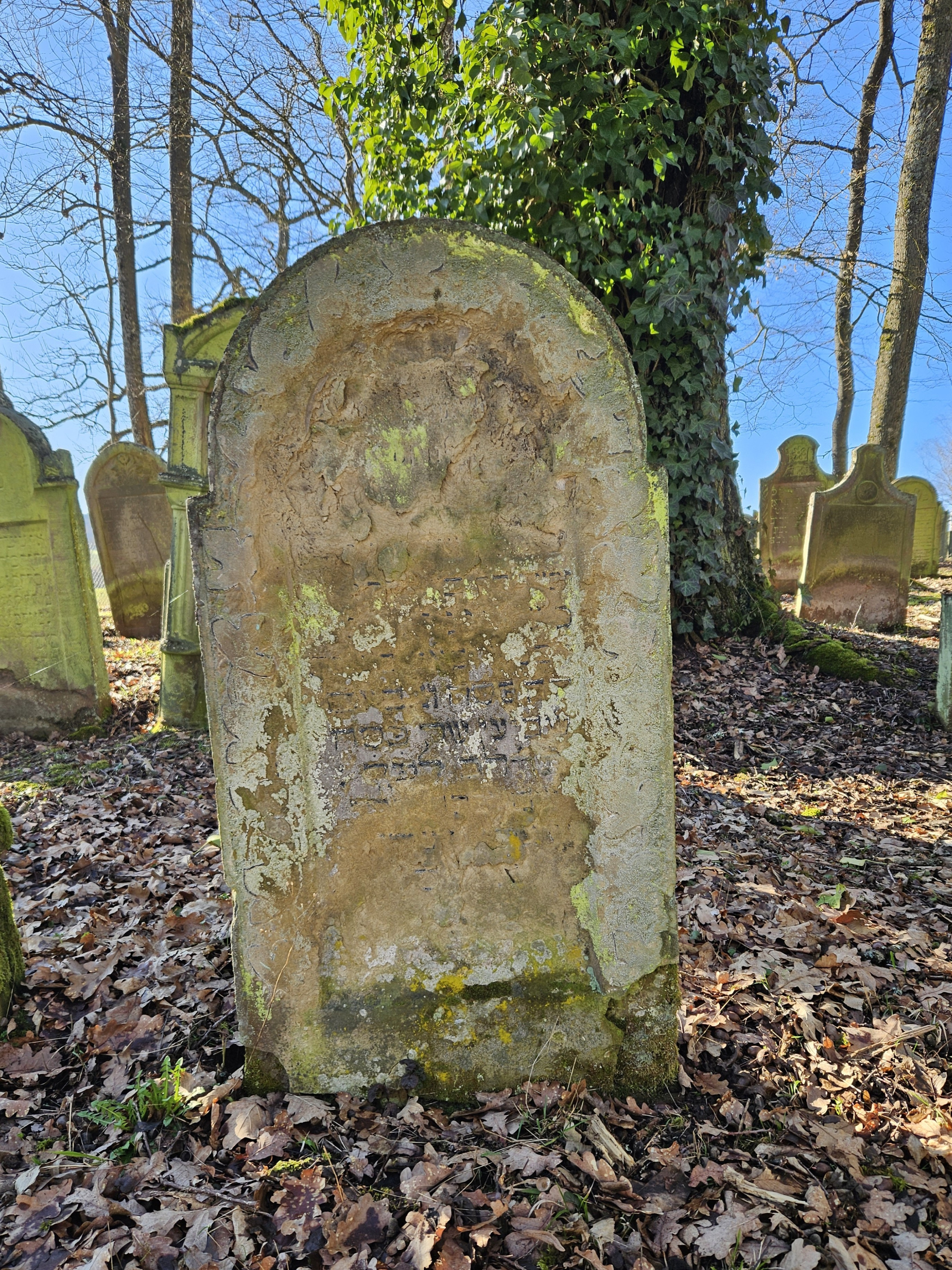 Grabstein von Babett Oppenheimer, Grab-Nr .290; Quelle: Stadtarchiv Buchen Grabstein von Babett Oppenheimer, Grab-Nr .290; Quelle: Stadtarchiv Buchen