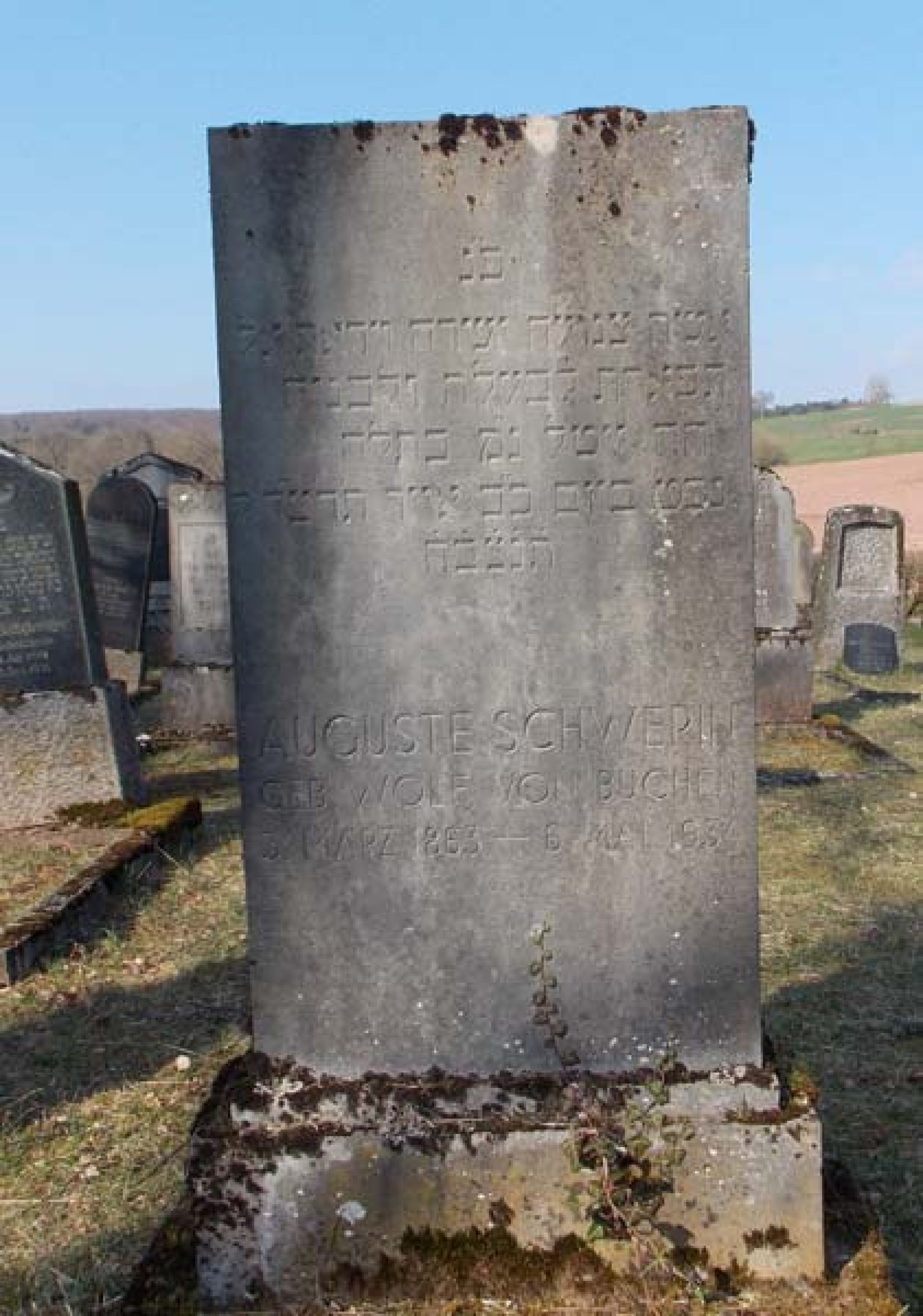 Grab von Auguste Schwerin