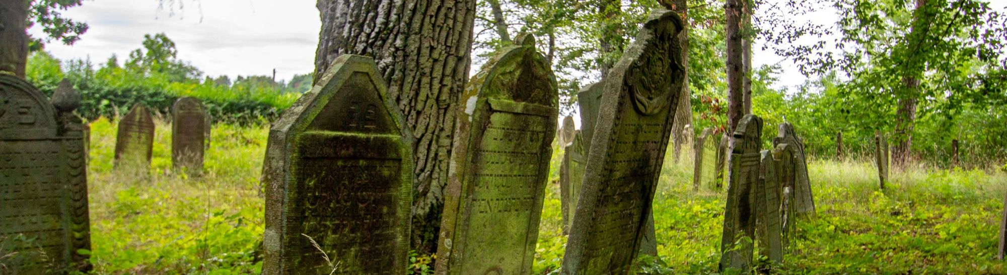 Bild der Grabsteine mit hebräischer Inschrift