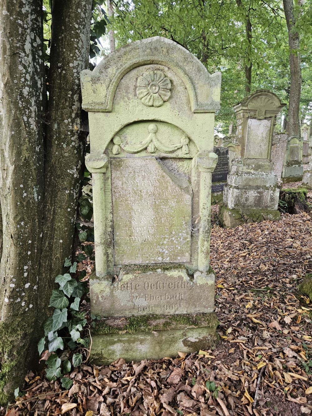 Grabstein von Jette Oestreicher (Foto: Stadtarchiv Buchen)