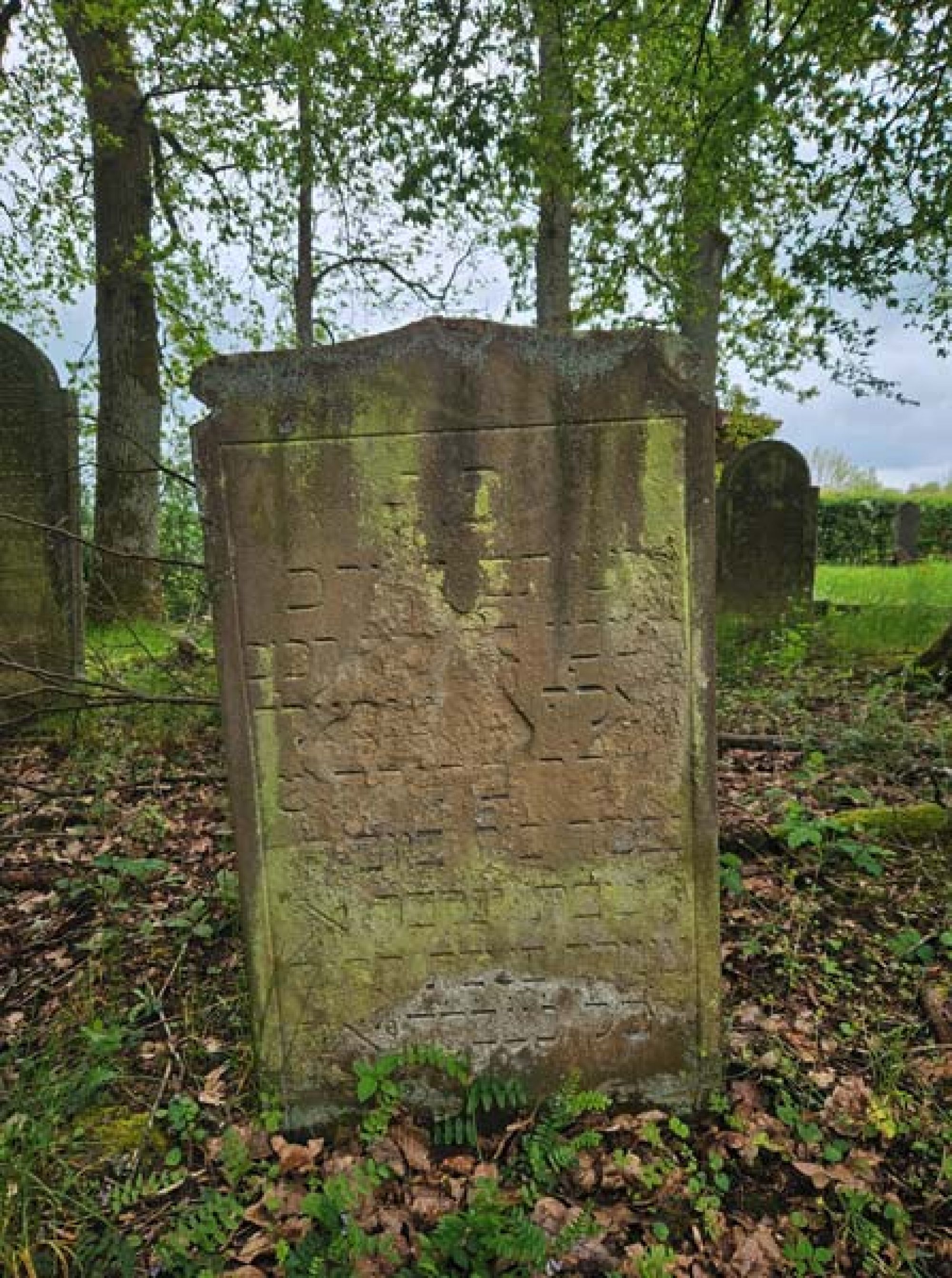 Das Grab von Benjamin Heidelberger. (Foto: Stadtarchiv Buchen)