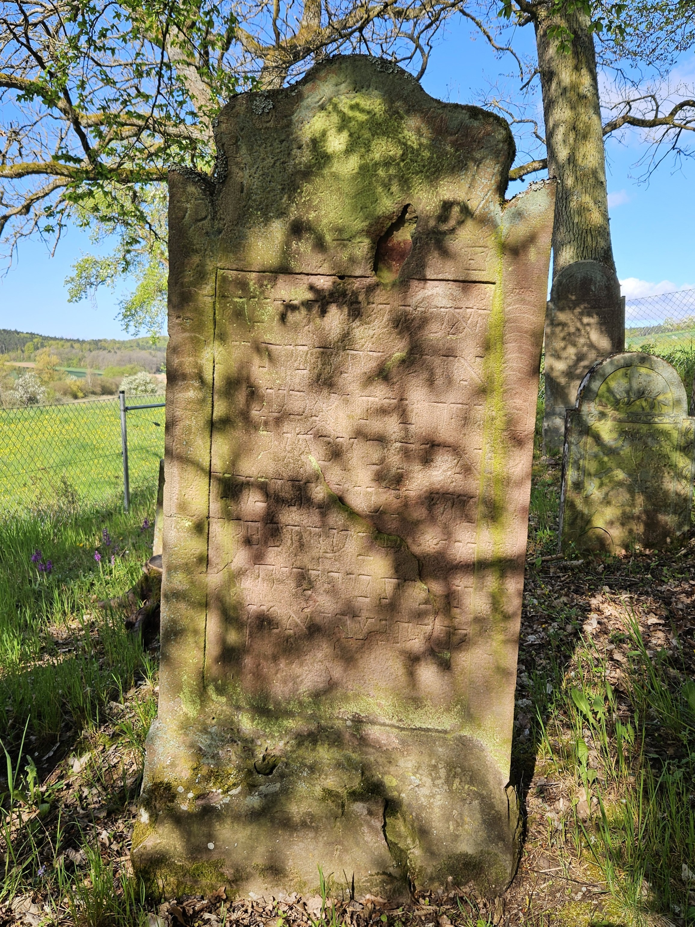 Grabstein von Jachet (Jette) Sinsheimer, Quelle Stadt Buchen