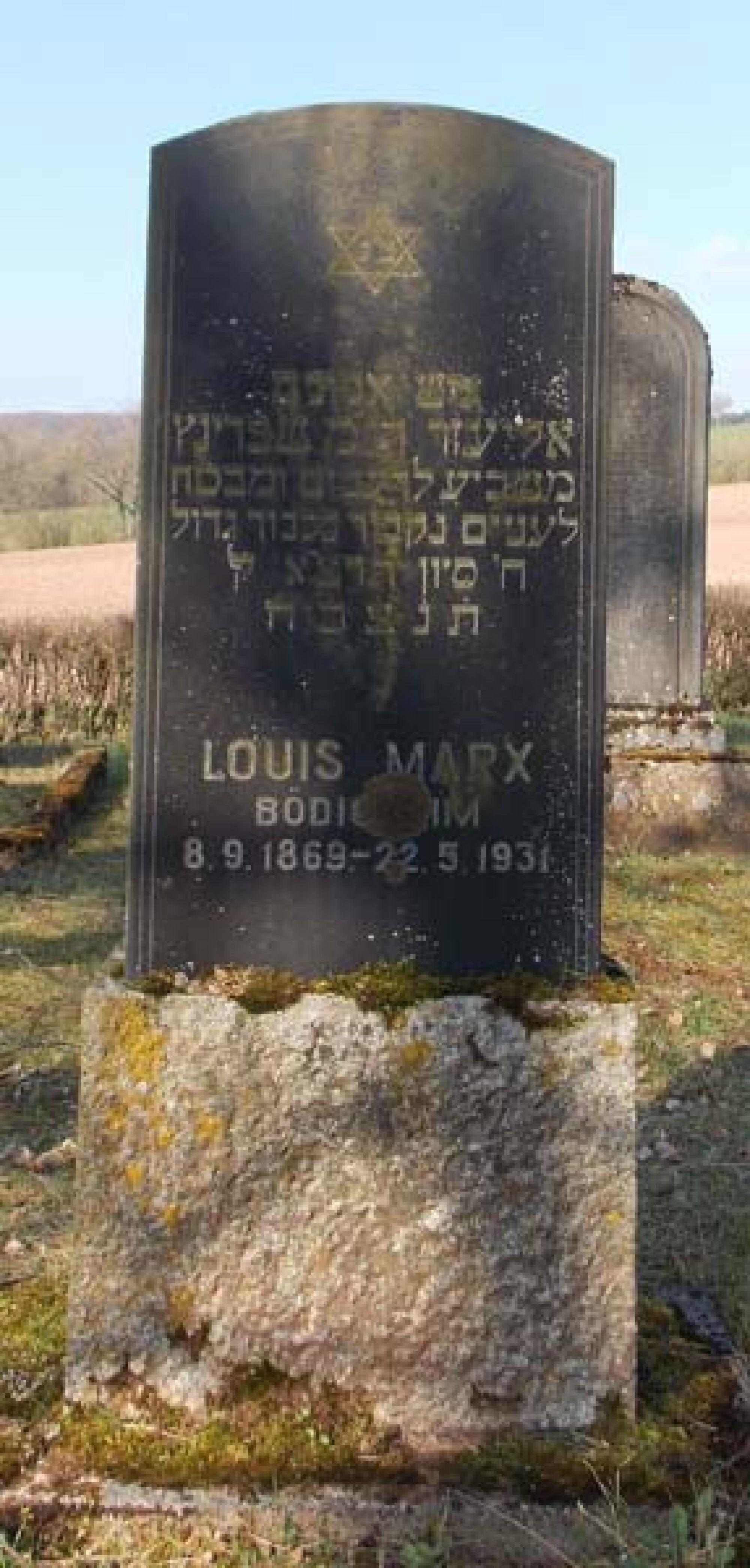 Grab von Louis Marx