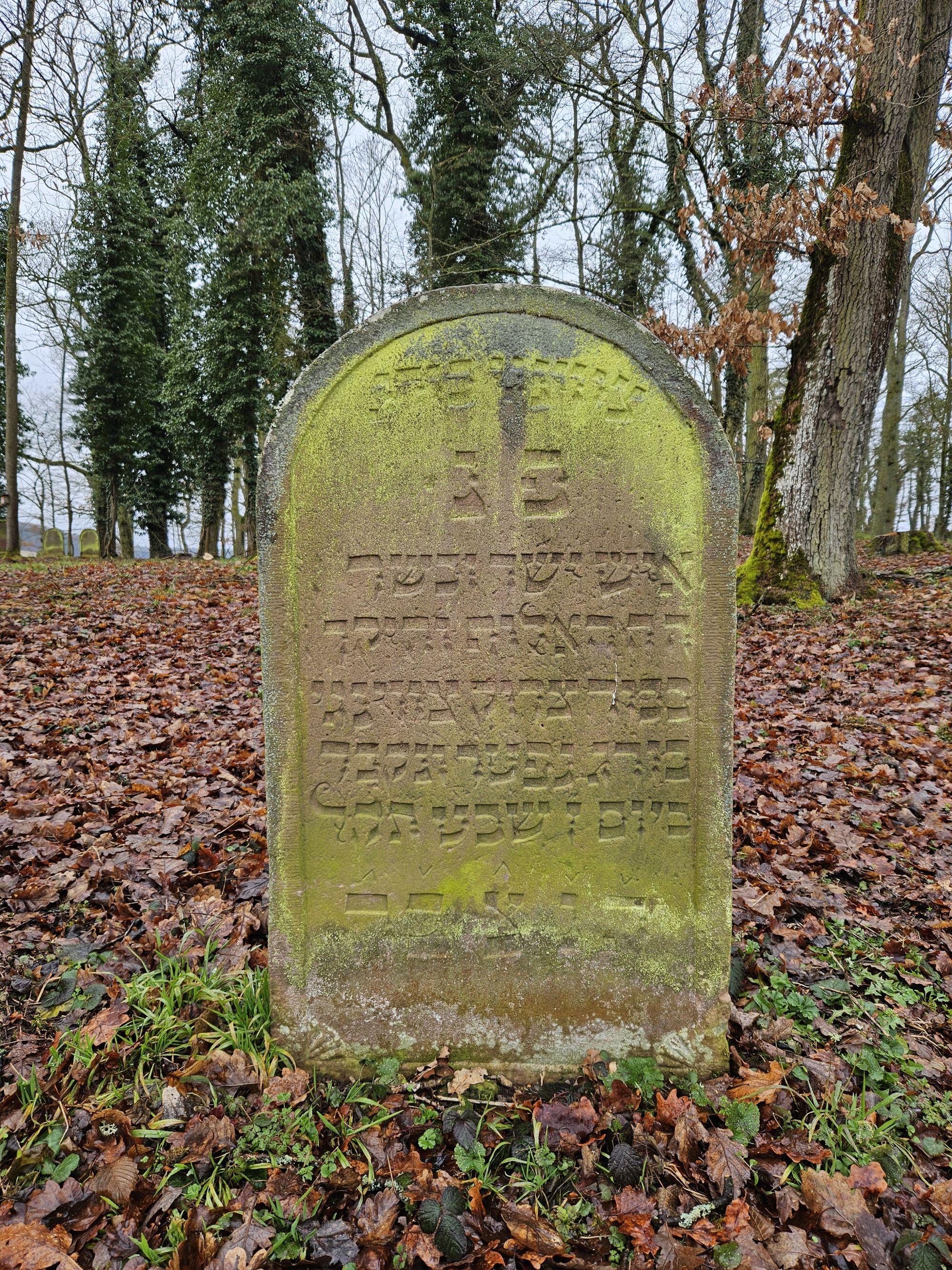 Grab des Zodek Zwingeburg (Foto: Stadtarchiv Buchen)