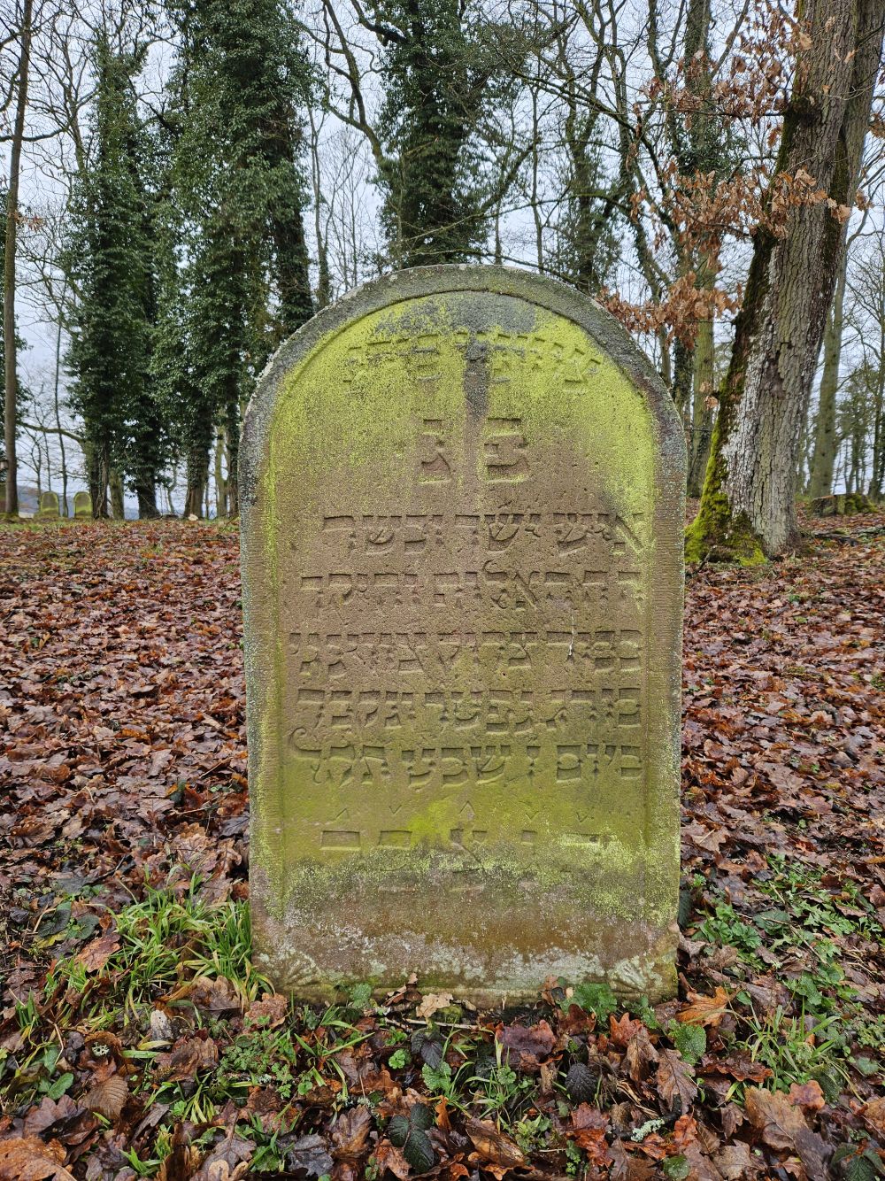Grab des Zodek Zwingeburg (Foto: Stadtarchiv Buchen)