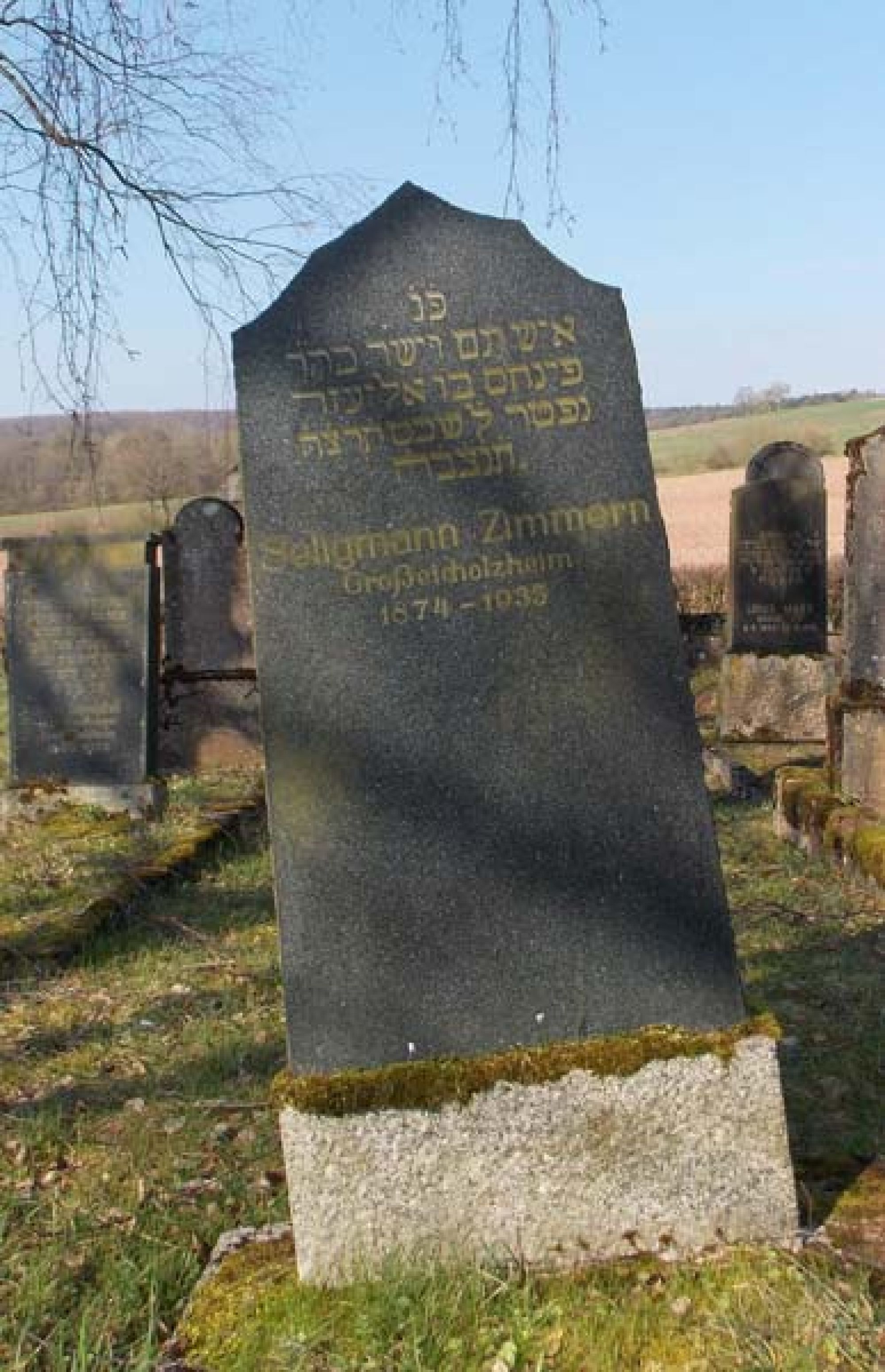 Grab von Seligmann Zimmern