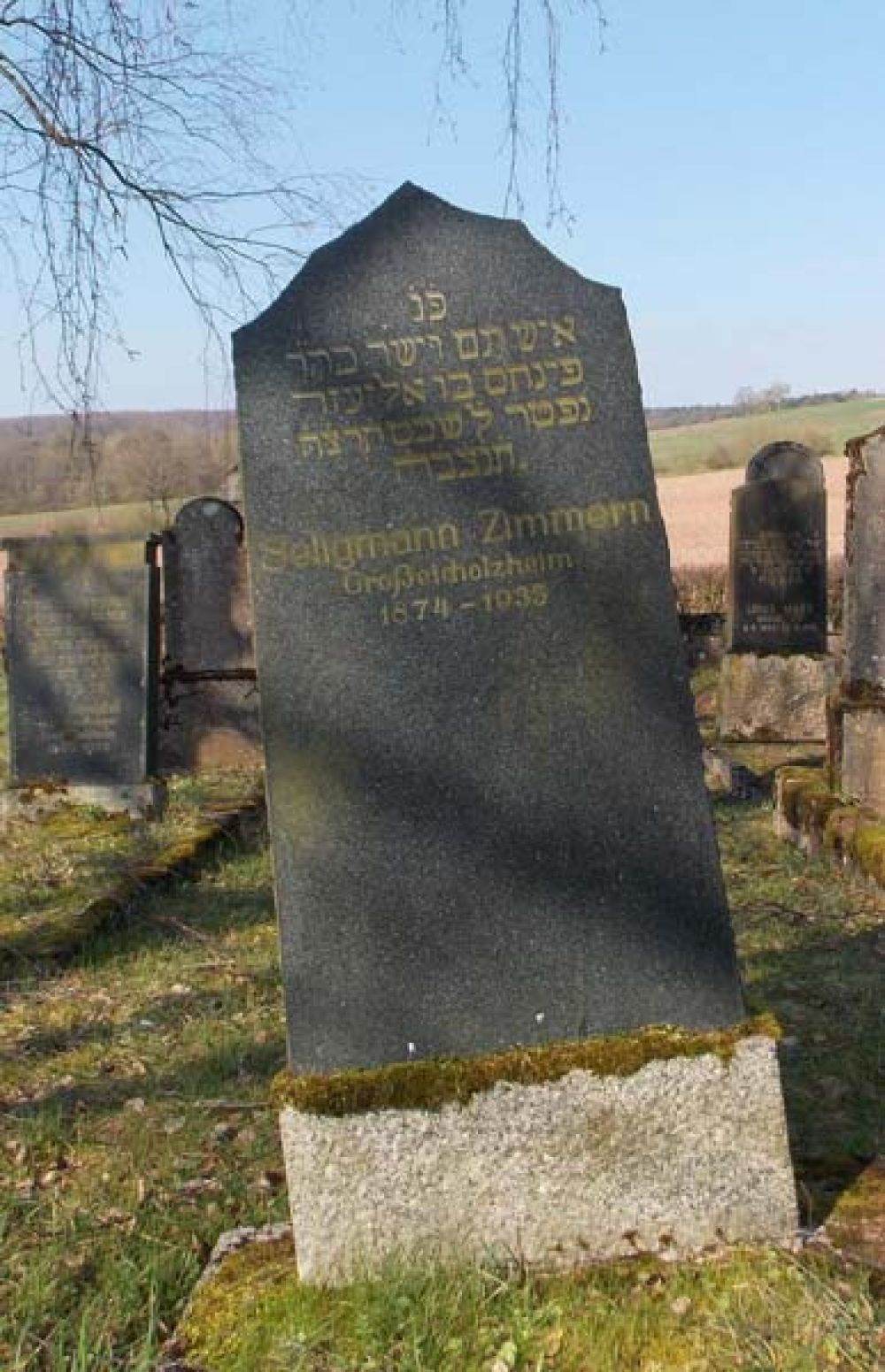 Grab von Seligmann Zimmern