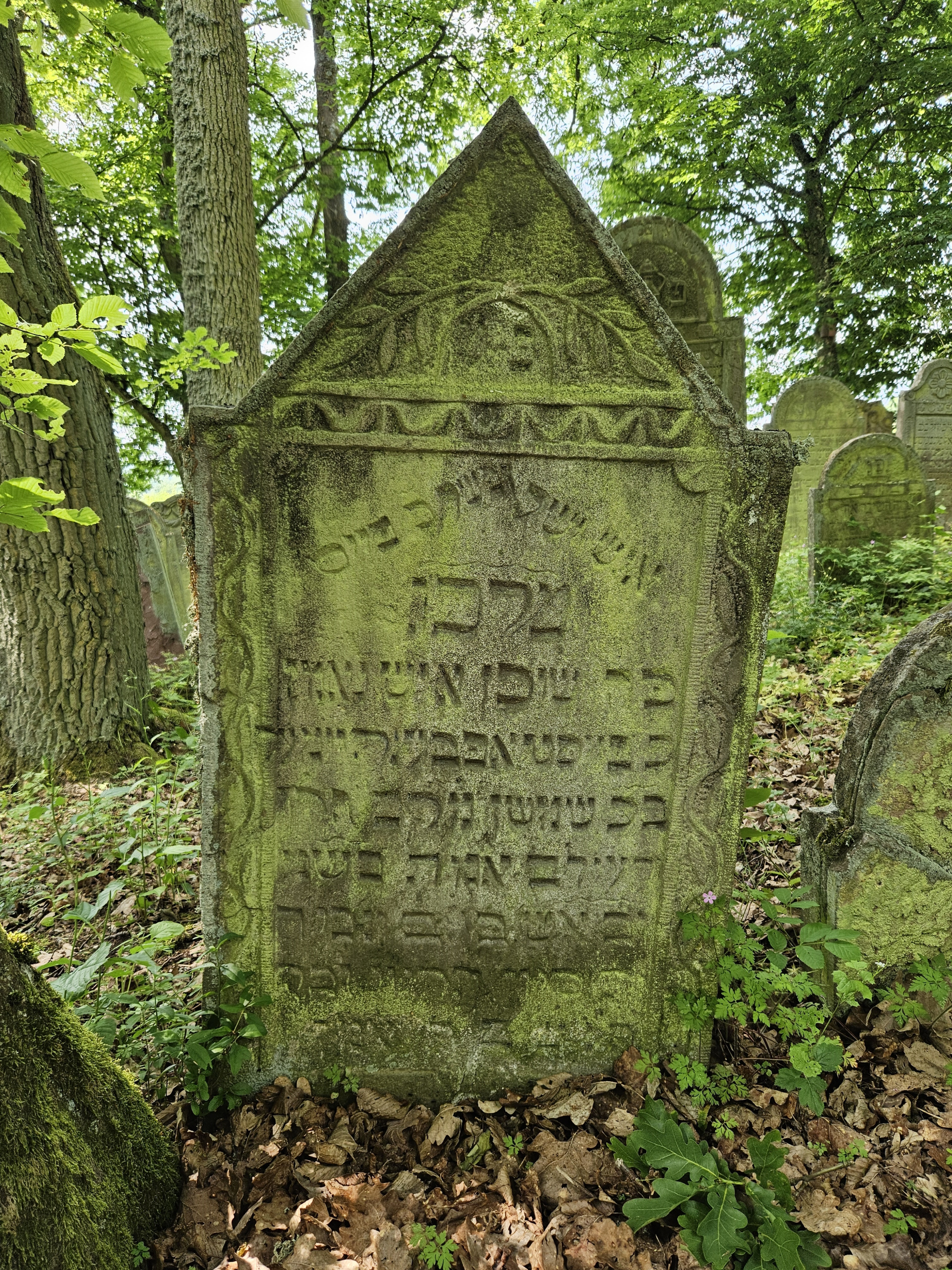 Der Grabstein von Feist Oppenheimer, Quelle: Stadtarchiv Buchen Der Grabstein von Feist Oppenheimer, Quelle: Stadtarchiv Buchen