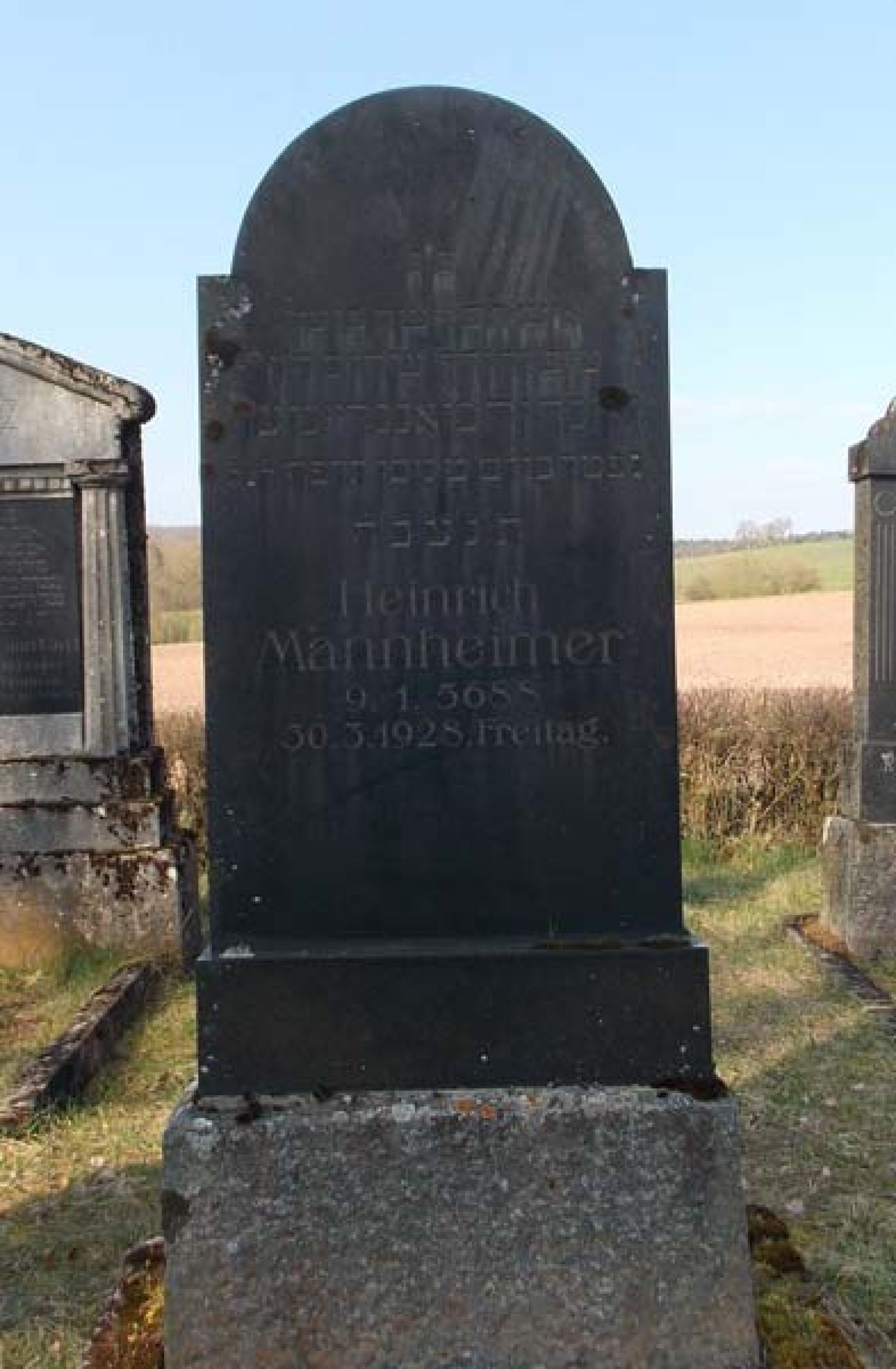 Grab von Heinrich Mannheimer