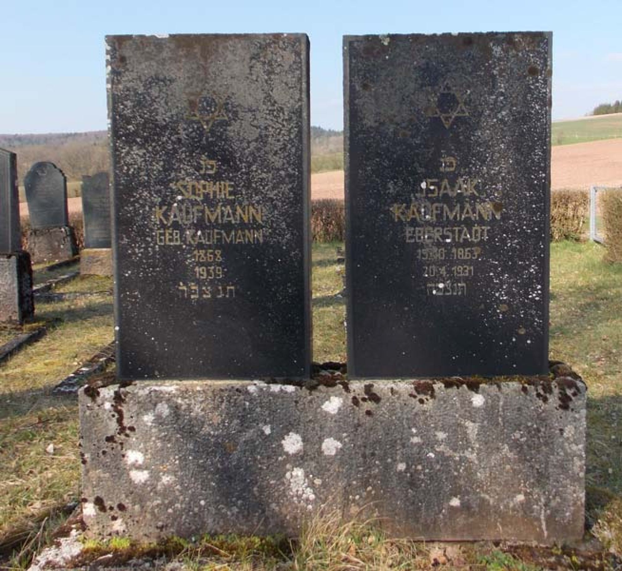 Grab von Isaak und Sophie Kaufmann