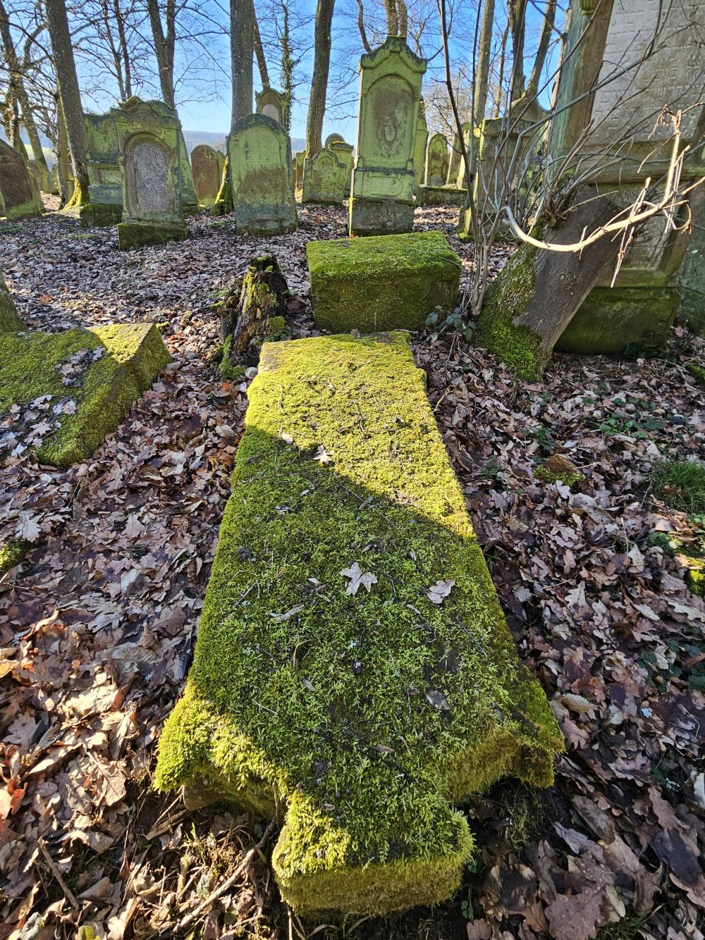 Grabstein von Karolina Bär. (Foto: Stadtarchiv Buchen)