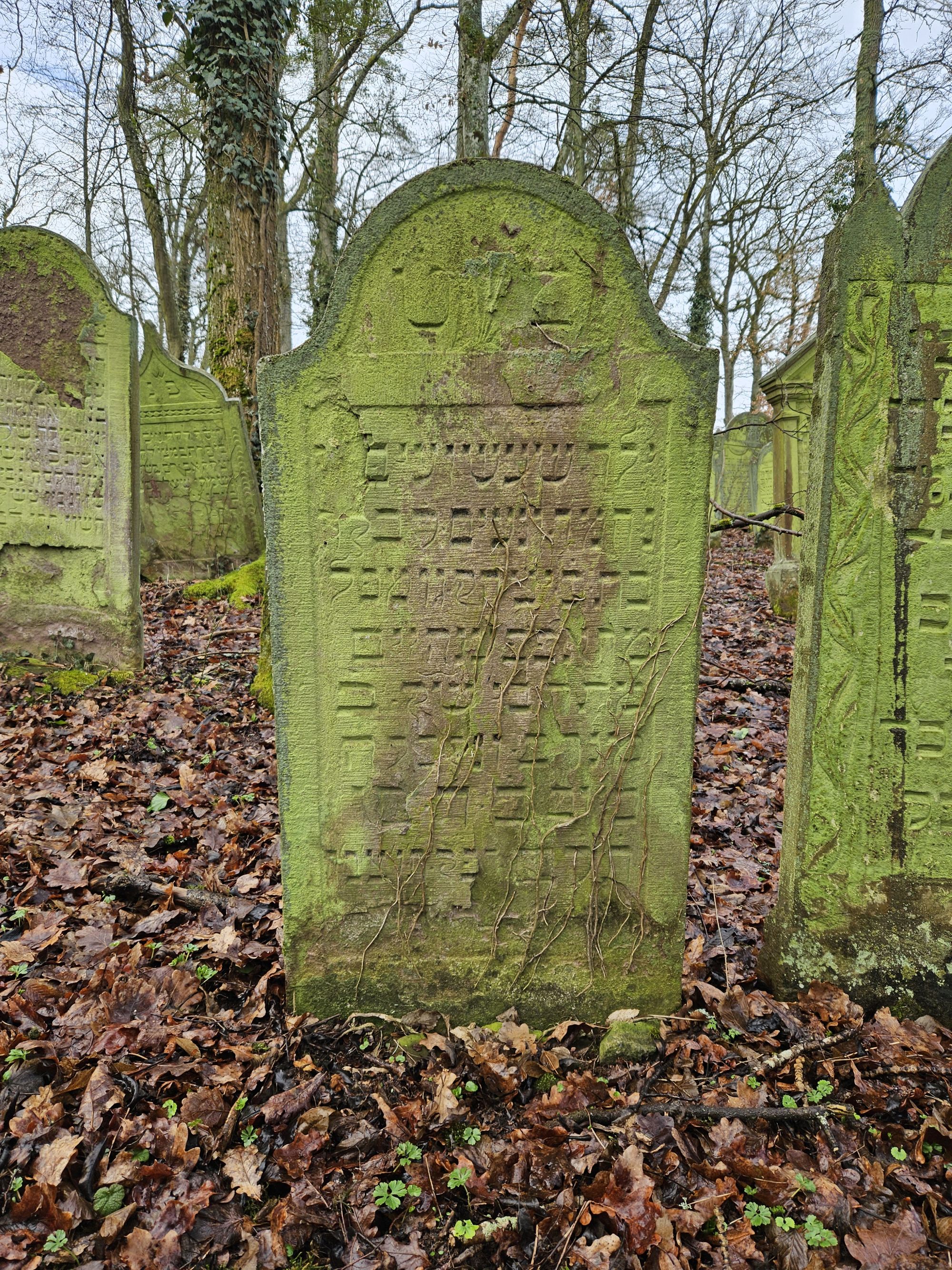 Grab der Rebekka, Tochter des Isaak Gumpel (Foto: Stadtarchiv Buchen)