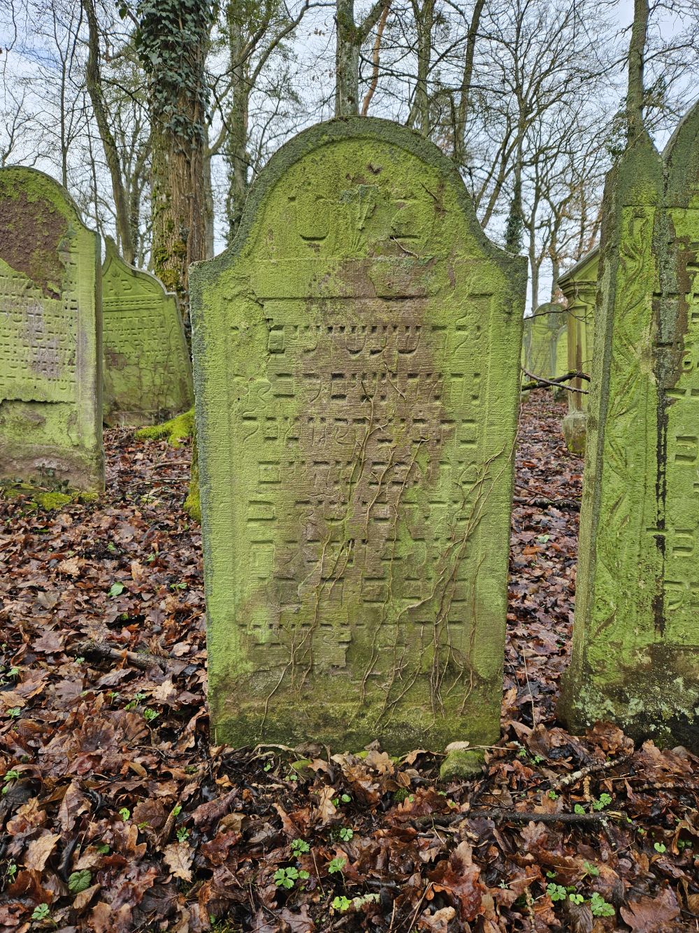Grab der Rebekka, Tochter des Isaak Gumpel (Foto: Stadtarchiv Buchen)